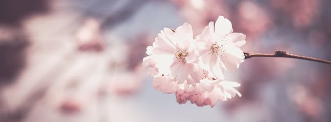 Bulle d'Au-céan - Audrey Mazurier, Centre de Bien-Etre à Royan