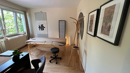 Médecine Traditionnelle Chinoise - Cazzola Lucie, Centre De Bien-Être à Strasbourg