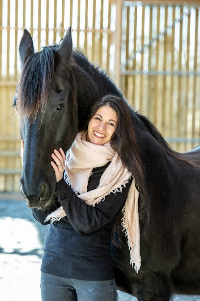 centre Mathioux spécialisé en intelligence émotionnelle et relationnelle, Centre de Bien-Etre à Montipouret