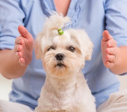 Espace Santé Et Bien être Casa Nostra, Centre de Bien-Etre à San-Martino-di-Lota
