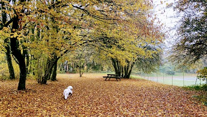 Catherinesophrologue, Centre de Bien-Etre à Lens