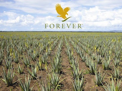 Patricia Aloe Vera Objat Corrèze, Centre de Bien-Etre à Objat