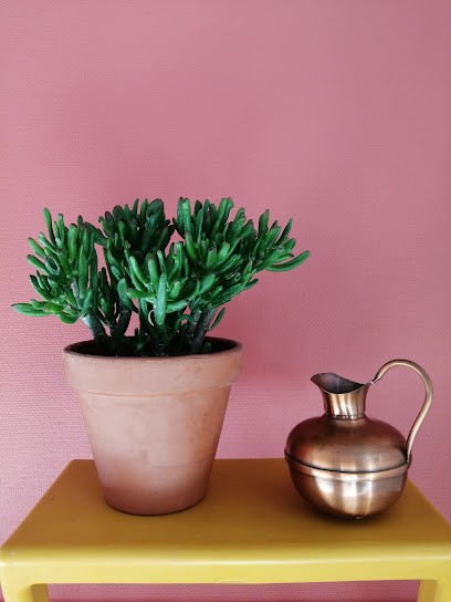 Amélie Froux - équilibre Ayurvéda, Centre de Bien-Etre à Amboise