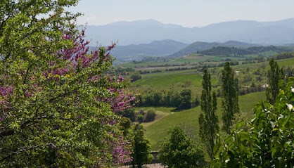 Rasamrita Ayurveda - Bhati' Home - Sylviane RIVOIRE, Centre de Bien-Etre à Gigors-et-Lozeron