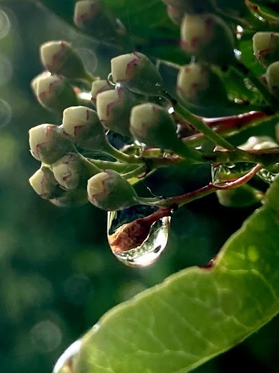 Apres La Pluie Sophrologie, Centre de Bien-Etre à Houilles