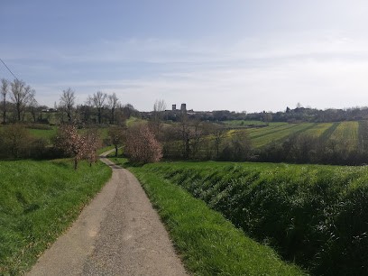 Yet T To 4 Directions Tuina Massage, Centre de Bien-Etre à La Romieu