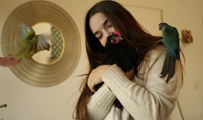 Association MEDEINA - Médiation par l'Animal • Ferme refuge thérapeutique, Centre de Bien-Etre à Eysines