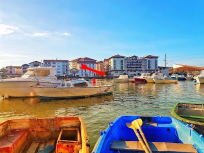 Stéphanie Brillaud Sophrologue & Thérapeute DECEMO (issue EMDR, IFS, TPV, CNV), Centre de Bien-Etre à Ciboure