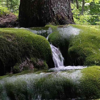 MontYoga, Centre de Bien-Etre à Lus-la-Croix-Haute