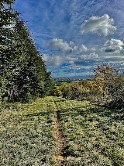 Jeûne Rando Energie, Centre de Bien-Etre à Rully