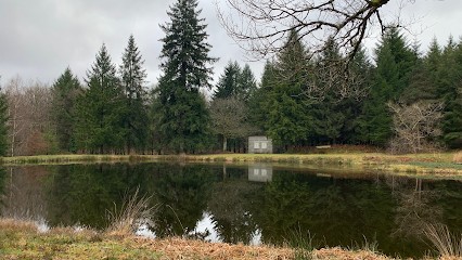 Rachel BOUGAUT- SOPHROLOGIE Force sérénité Harmonie, Centre de Bien-Etre à Montrollet