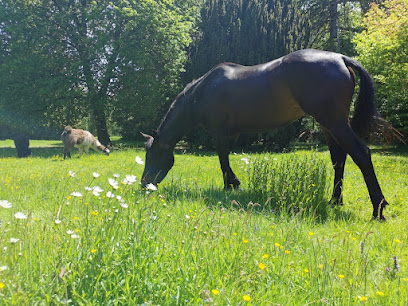 Zoolière Centre De Bien-Être à Gognies-Chaussée