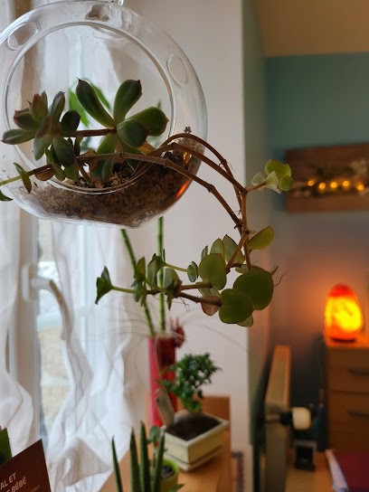 Réflexologie et bien-être, Rachel Foucault, Centre de Bien-Etre à Athis-Val de Rouvre