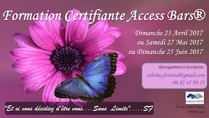 Access Bars Facilitatrice Access Consciousness Sabrina Ferrand, Centre de Bien-Etre à Lyon 08