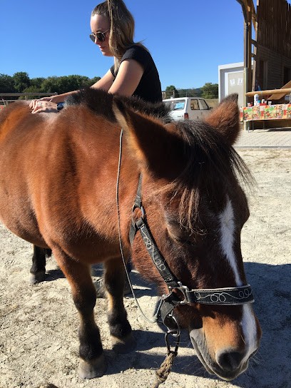 Faustine Petit - Thérapeute et bien être animalier, Centre de Bien-Etre à Veyrines-de-Domme