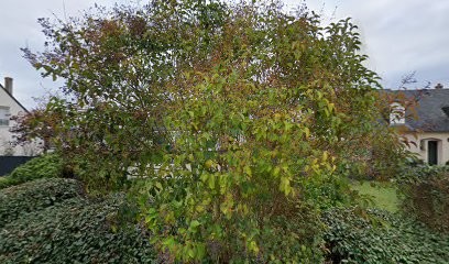 L'Atelier Des Possibles, Centre de Bien-Etre à La Membrolle-sur-Choisille