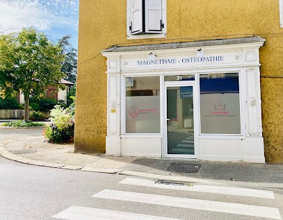 Louanges Magnétisme Naturopathie Et Massages énergétiques, Centre de Bien-Etre à Montrevel-en-Bresse