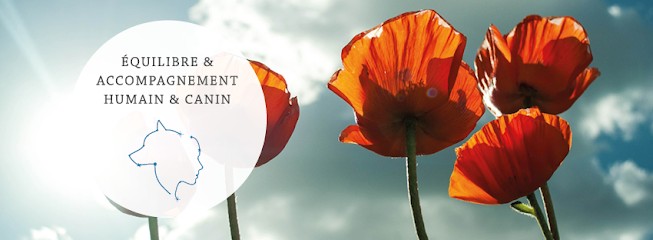 Calire - Accompagnement humain et canin, Centre de Bien-Etre à Saint-Genès-de-Lombaud