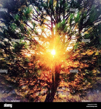 Pruvost Jocelyne Magnétiseur, libération émotionnelle, Soins Spa ionique (détoxine l'organisme, aide à la perte de poids), Centre de Bien-Etre à Moult-Chicheboville